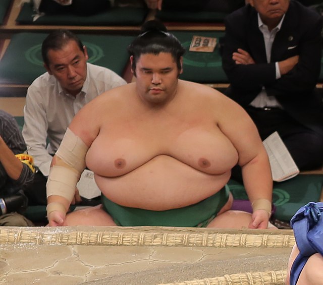 A seated sumo wrestler