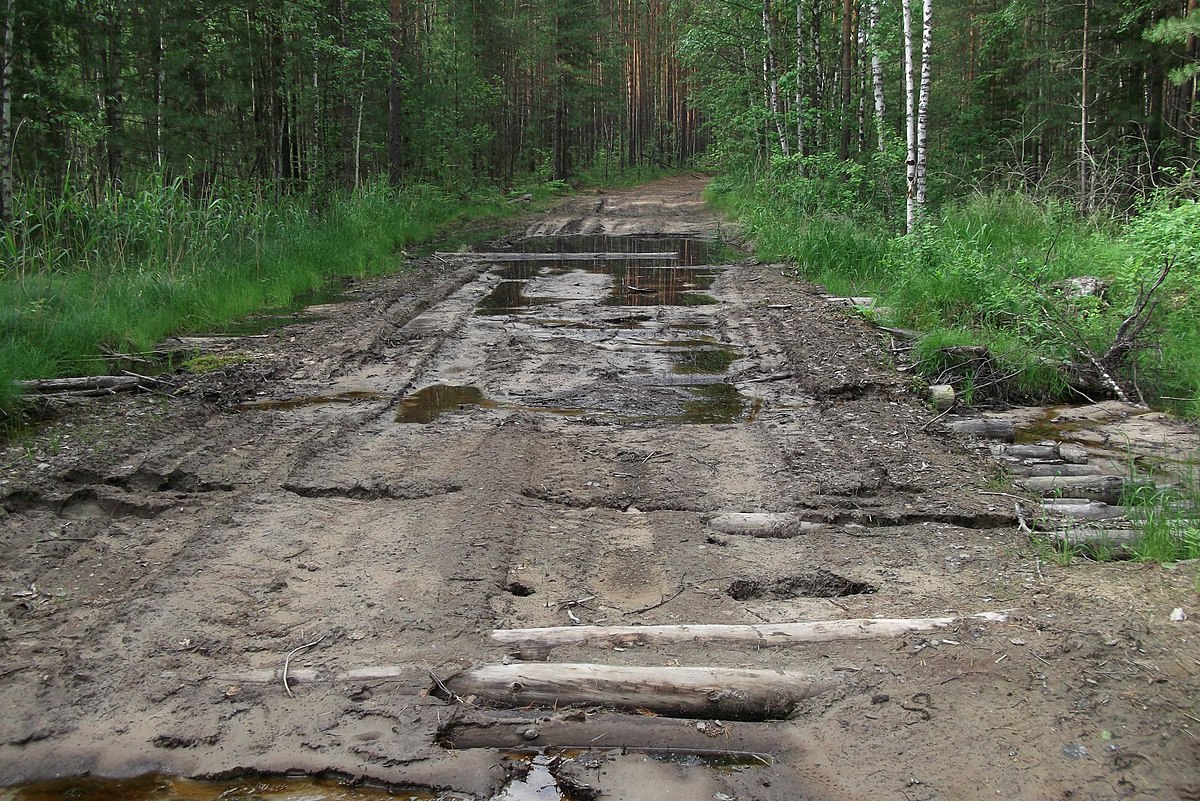 Гать Орел. Гать Свердловская область. Гать в лесу.