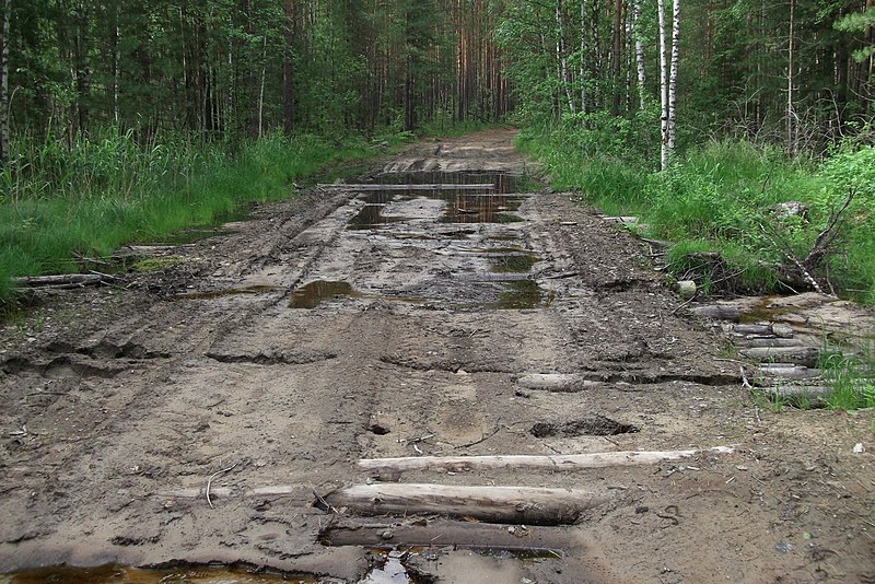 File:Tomsky District, Tomsk Oblast, Russia - panoramio (175).jpg