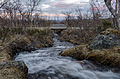 * Nomination Small creek and bridge in Montane Birch forest, Torkilstöten, Ljungdalen, Jämtland County --ArildV 22:08, 19 June 2015 (UTC) * Promotion Good quality. A little dark, but then again it is a little dark after 11 pm in the evening :-) --Slaunger 22:13, 19 June 2015 (UTC) Thank you for review, I uploaded a new version (+ 0,3 EV).--ArildV 22:28, 19 June 2015 (UTC)