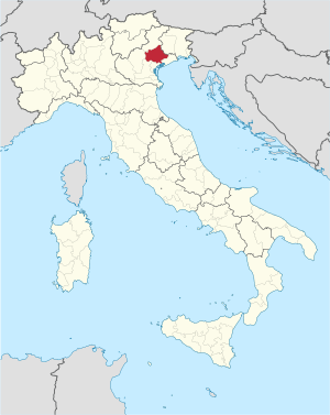 Die ligging van Treviso in Italië