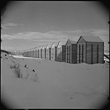 Granaries at Tule Lake Unit, Modoc County, California. Tule Lake Relocation Center, Newell, California. Granery storage buildings, which are used to store . . . - NARA - 536902.jpg
