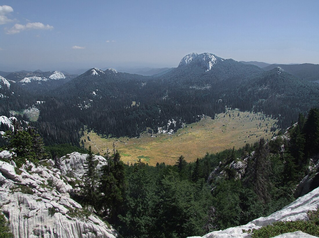 Veliki Lubenovac