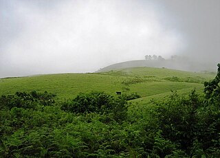 <span class="mw-page-title-main">Vagamon</span> Hill station in Kerala, India