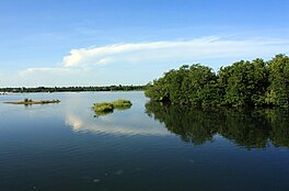 Valaichchenai Lagoon.jpg