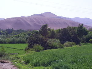 Departamento De Moquegua: Historia, Organización territorial, Geografía