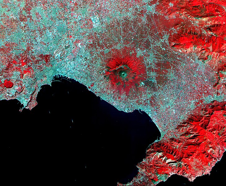 File:Vesuvius Aster.jpg