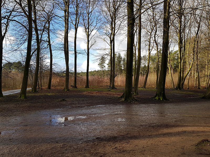 File:View from the bench (OpenBenches 4196-2).jpg