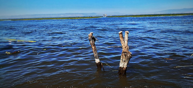 File:View of Lake Hawassa.jpg