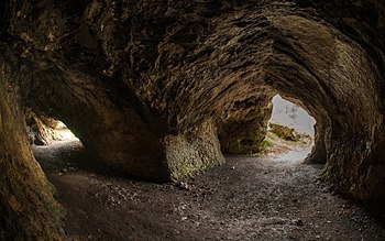 Vogelherd Cave