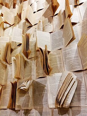 Wall full of books