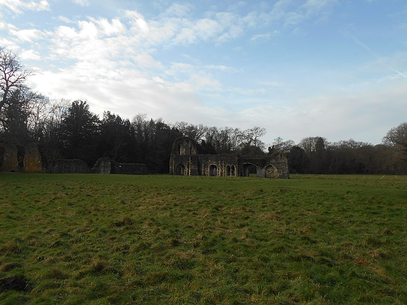 File:Waverley Abbey, Farnham 38.jpg