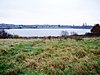 Welsh Harp Nature Reserve, London Borough of Barnet, NW9 (2050775047) .jpg