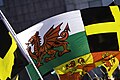 Le drapeau du pays de Galles; la bannière de Owain Glyndŵr, prince de galles natif;La bannière de Saint David