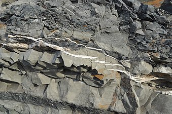 Veins in the silts/marls of the Tea Green and Grey Marls, Blue Anchor, Somerset, United Kingdom.