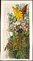 Wildflowers, Aquarell, Metropolitan Museum of Art, 1875