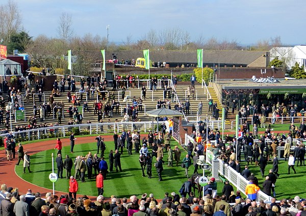 Winners' enclosure in 2014