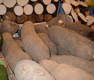 <span class="mw-page-title-main">Yam (vegetable)</span> Edible starchy tuber