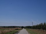 English: Street in Zofiówka