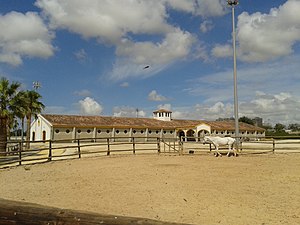 Jerez De La Frontera: Toponimia, Historia, Geografía