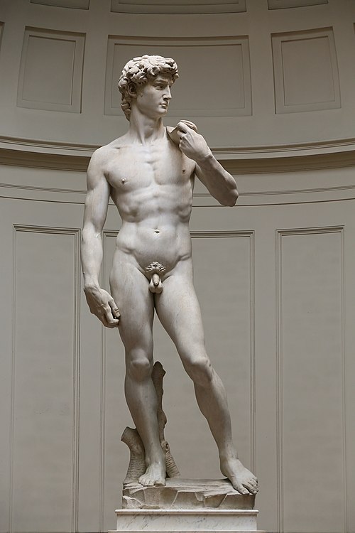 Michelangelo's David is the classical image of youthful male beauty in Western art.