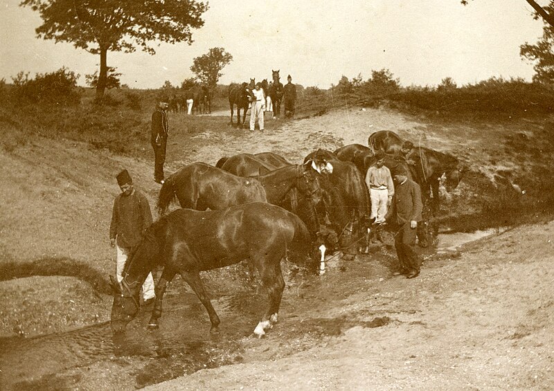 File:(NL c.1900) Exercise Horse Artillery Corps, Pict. AKL092027.jpg