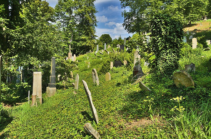 File:Židovský hřbitov, Boskovice, okres Blansko (06).jpg