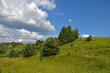 Верем'я (заповідне урочище)