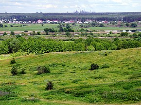 Вид на Пасечки - panoramio.jpg