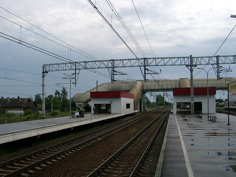 File:Тосно.Переход.JPG