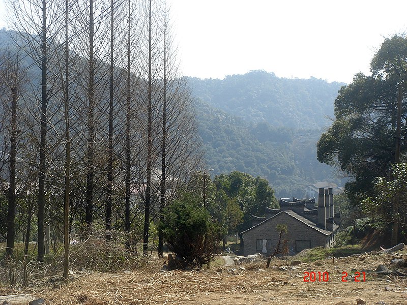 File:杭州. 大清谷 - panoramio (9).jpg