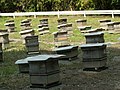 養蜂 - panoramio.jpg