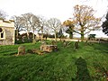 -2020-11-20 The-churchyard, Saint Mary’s, Baconsthorpe, Norfolk (2).JPG