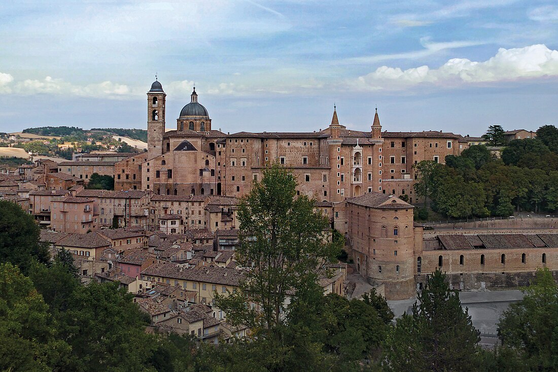 Urbino