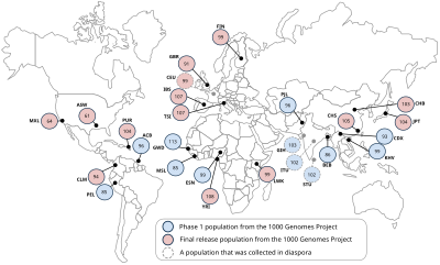 Locations of population samples of 1000 Genomes Project. Each circle represents the number of sequences in the final release. 1000 Genomes Project.svg