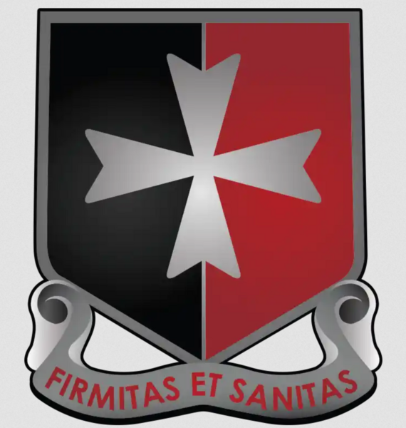File:113th Sustainment BN.png