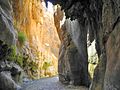 15 Wadi Bin Hammad Tropical Rain Forest Trail - Waterfalls - panoramio.jpg