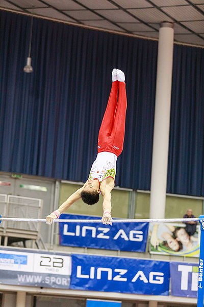 File:15th Austrian Future Cup 2018-11-24 Shota Tajima (Norman Seibert) - 10594.jpg