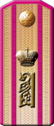 Coronel del 12º Regimiento de Fusileros del Tsarevich de Siberia Oriental, Su Alteza Imperial el Heredero Soberano (charretera de 1904 a 1909).