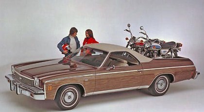 1973 El camino.. jpg