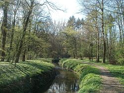 20120408 Kriegbach Altlussheim6.jpg