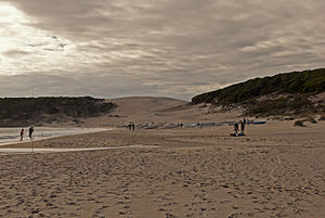 Playa De Bolonia: Descripción, Ciudad romana, Duna de Bolonia