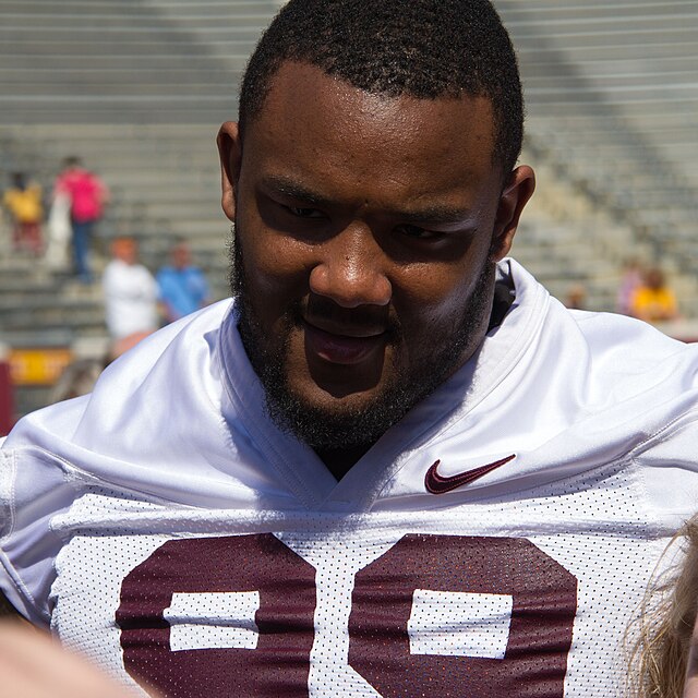 Falcons' Ra'Shede Hageman facing domestic violence charges