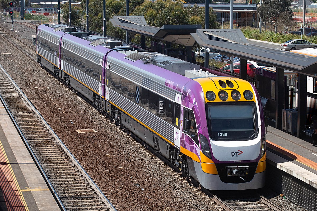 are dogs allowed on vline trains