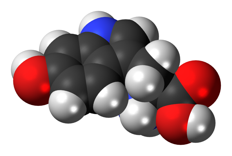 File:5-Hydroxy-L-tryptophan-3D-spacefill.png