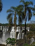 Smámynd fyrir Iguazú-þjóðgarðurinn