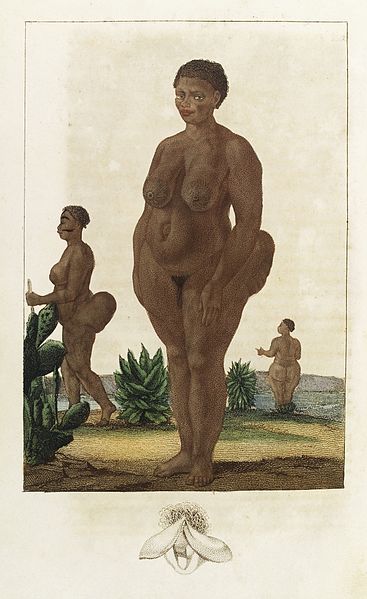 File:A female Hottentot with steatopygy Wellcome L0034224.jpg