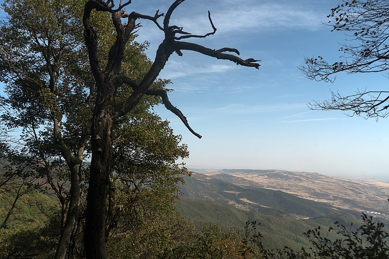 File:A view from Tbilisi National Park 2022-09-17-3.jpg