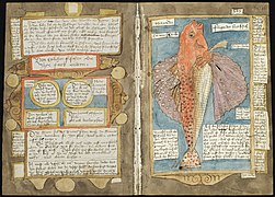 Adriaen Coenen's Visboeck - KB 78 E 54 - folios 345v (left) and 346r (right) .jpg