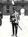 Albert, Duke of Schleswig-Holstein, 1914.jpg